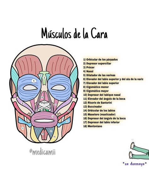 Medicami en la Docta on Instagram Músculos de la cara Hola Les