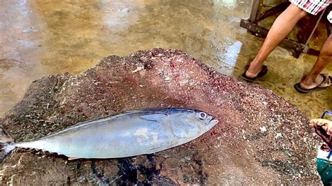 Amazing Big Tuna Fish Cutting By Dangerous Man Excellent Fish Cutting