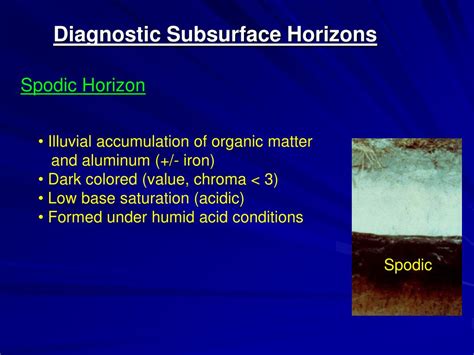 Ppt Soil Morphology And Classification Powerpoint Presentation Free