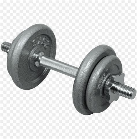 Dumbbells Png Clip Art Dumbbell Clipart Png Transparent Png Kindpng