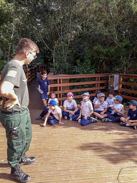 Animais silvestres 2º ano A visita centro de reabilitação Escola da Ilha