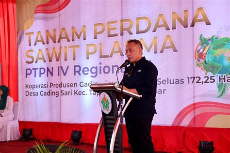 Ptpn Iv Palmco Targetkan Juta Bibit Unggul Diserap Petani Hingga