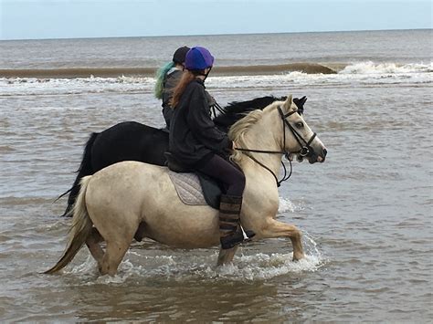 Riding With Us Times And Prices Lincoln Park Riding School