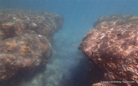 Snorkeling in Ke'e Beach, Kauai | Snorkeling in Hawaii