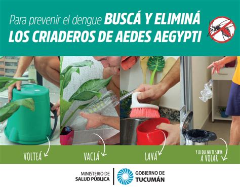 Consejos Para Prevenir El Dengue Tucumán