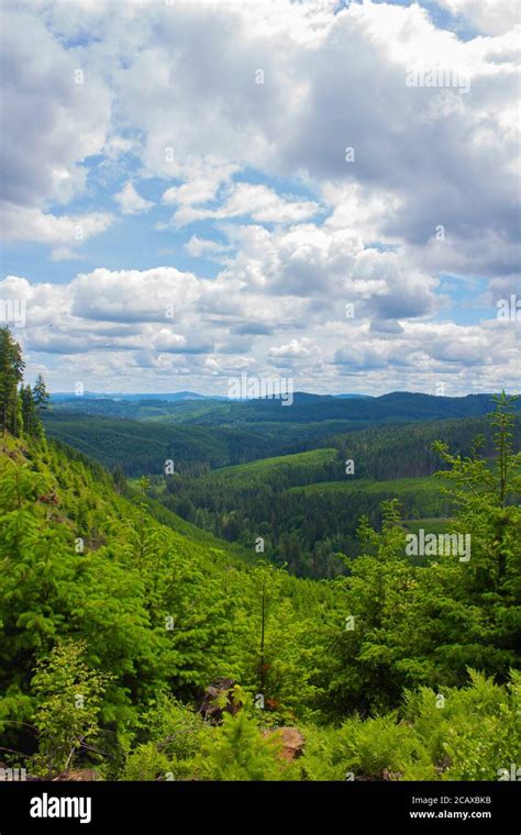 Willamette Valley Oregon Stock Photo - Alamy