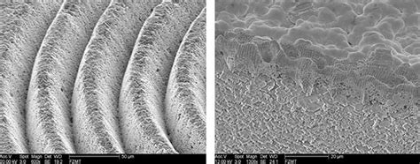 Laser Microfabrication Techniques Move Rapid Prototyping To The Mainstream Feb 2017