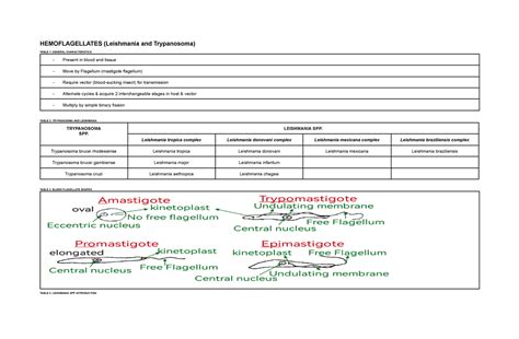 Hemoflagellates Lecture Notes Hemoflagellates Leishmania And