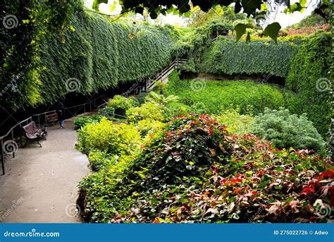 Umpherston Sinkhole stock photo. Image of tree, umpherston - 275022726