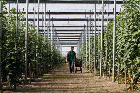 Hortiespaña pide al Ministerio de Agricultura una mayor defensa de las