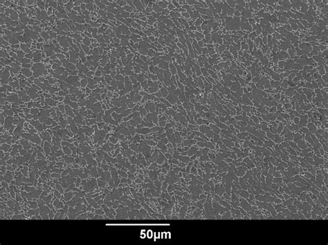 The Initial Microstructure of a Titanium Alloy Grade 5. | Download ...