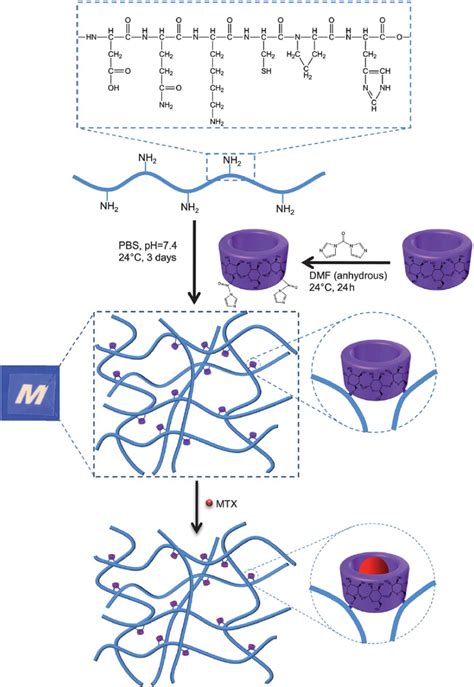 Gelatin Based Hydrogels For Biomedical Applications Mrs