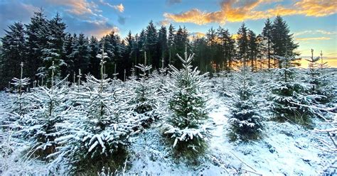 Northern Ireland snow: Met Office warns wintery…