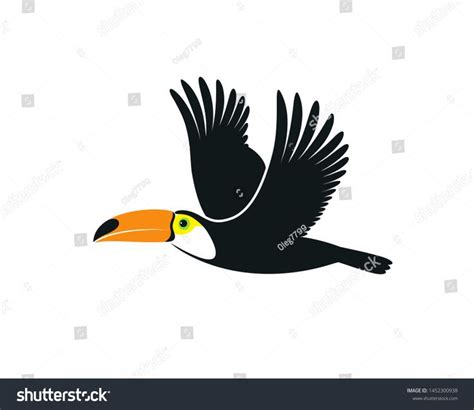 Flying Toucan Isolated Toucan On White Stock Vector (Royalty Free) 1452300938 | Shutterstock ...