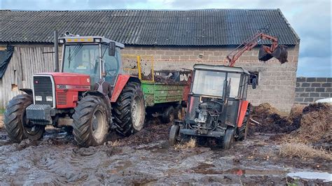 jesienne wożenie obornika Massey ferguson 3655 i Ursus c 360 w akcji