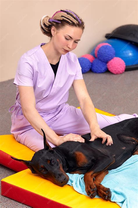 Premium Photo Pet Physical Therapist Make Massage For Beagle Dogs