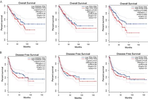 Gepia Survival Curve A Association Between Elevated P16 P53 And Pcna Download Scientific