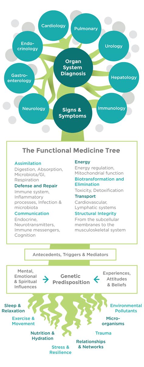 About Functional Medicine