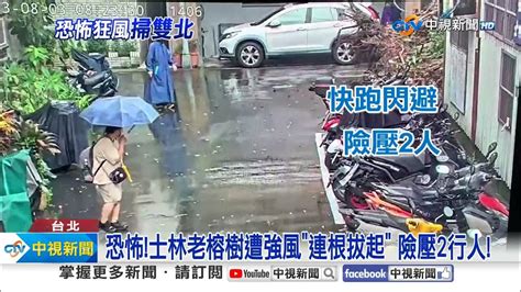 鷹架吹塌猛砸 民眾濺血 巨樹吹斷 差1秒砸扁公車│中視新聞 20230803 Youtube