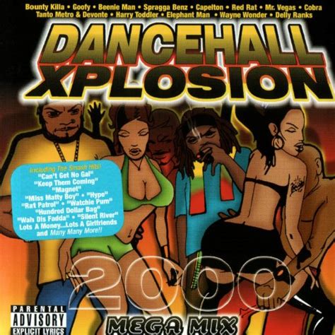 Dancehall Xplosion 2000 Various Artists Jamdown Records