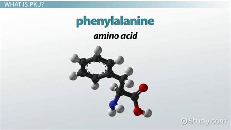 What is Phenylketonuria (PKU)? - Definition, Symptoms & Treatment - Video & Lesson Transcript ...