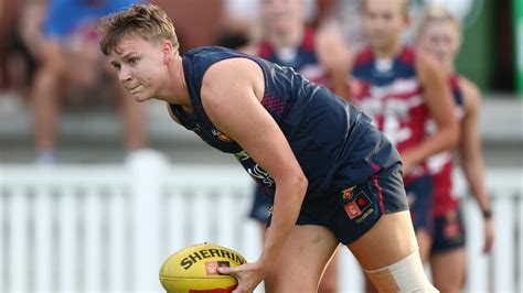 Guía Definitiva De La Aflw Grand Final 2023 Hora De Inicio Cómo Mirar North Melbourne