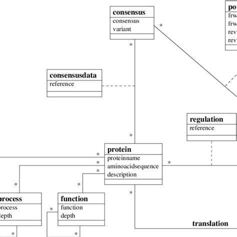 Main entities in the database model and their relationships. | Download Scientific Diagram