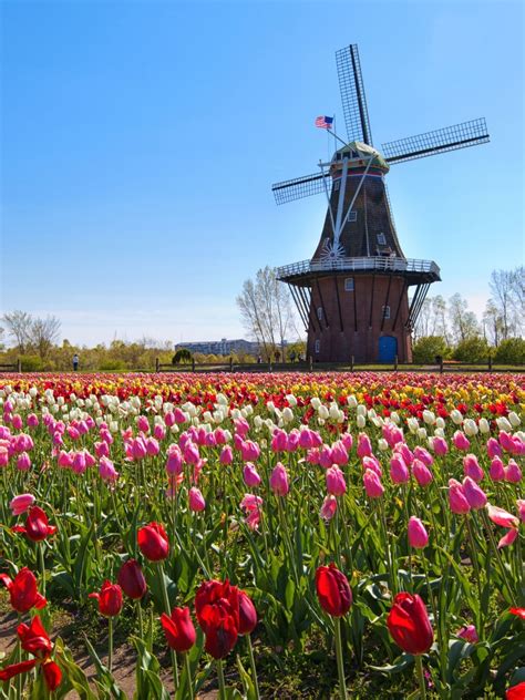 21 BEST Things To Do In Holland (Michigan)