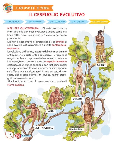 Inizia La Storia Delluomo Storia Dell Uomo Storia Immagini Pecs