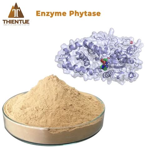 Enzyme Phytase nguyên liệu 5 000 ui g Thiên Tuế