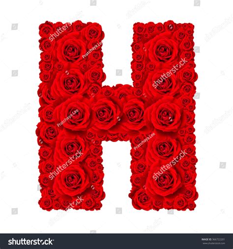 Rose Alphabet Set Alphabet Capital Letter H Made From Red Rose