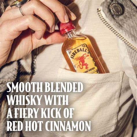 Fireball Hot Cinnamon Blended Whisky 10 Ct 50 Ml Kroger