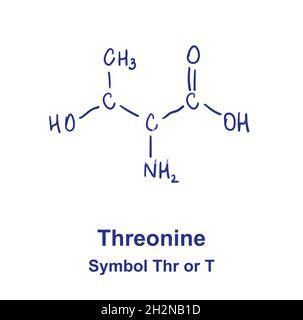 Threonine Thr T Amino Acid Chemical Structure Molecular Formula