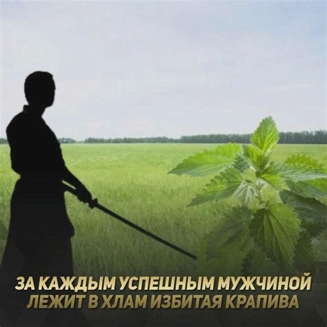 Секрет успеха! | Пикабу