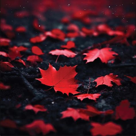 Premium Photo A Closeup Photo Of Red Maple Leaf Background