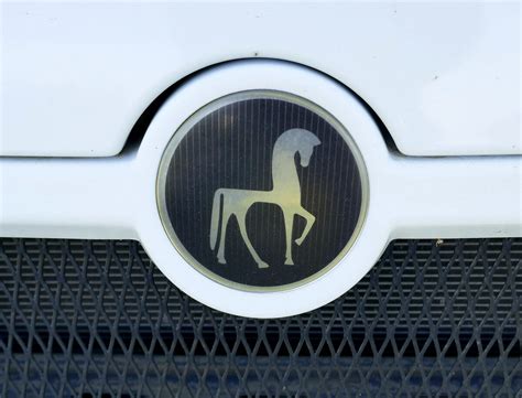 etrusco logo  der front eines wohnmobiles die einsteiger marke