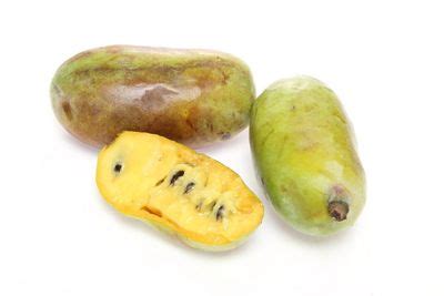 Pawpaw Fruit Trees - Learn About Different Varieties Of Pawpaw Tree