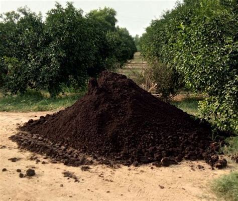 Cow Dung Compost at best price in Rangareddy by RajyaLakshmi Life ...