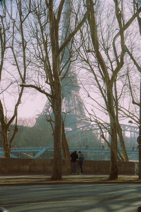 bunga cantik estetik      bunga cantik