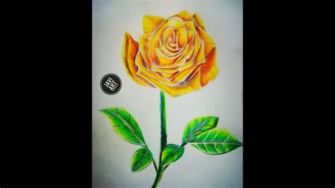 Como Dibujar Una Rosa Amarilla Realista How To Draw A Yellow