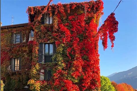 Lake Como And Bellagio Day Trip From Milan