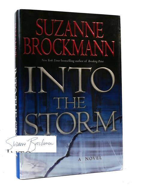 Into The Storm Suzanne Brockmann