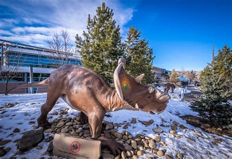 A Winter Hike in the Drumheller Badlands | Hike Bike Travel