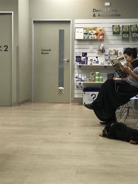 So my dog had to go to the vet today... : r/aww