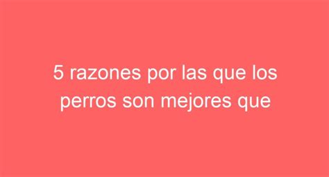 5 Razones Por Las Que Los Perros Son Mejores Que Los Gatos Descubre