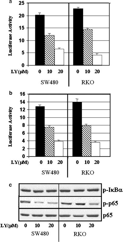 Constitutive Nfb And Catenin Tcf Lef Mediated Transcription In Crc