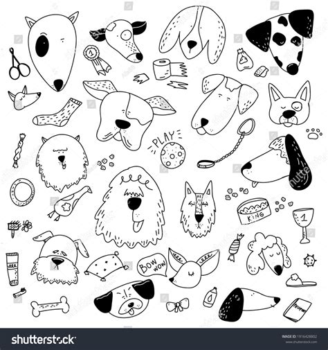 Hand Drawn Doodle Pets Stuff Supply Stock Vector Royalty Free