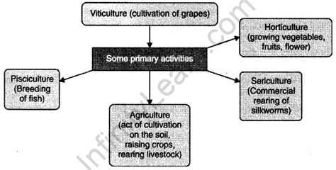 Agriculture Class 8 Notes Geography Chapter 4 Sri Chaitanya Infinity Learn Best Online Courses