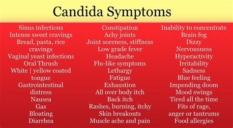 Yeast and Candida | Dr. Hagmeyer