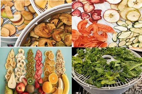 dryers  food processing enhancing shelf life  safety